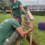 NULES PENJA CAIXES NIU I HOTELS PER A INSECTES EN COL·LEGIS I JARDINS PÚBLICS