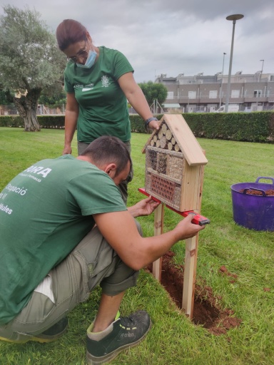 CORTS VALENCIANES HOTEL INSECTOS