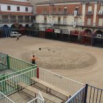 NULES TENDRÁ ESTE FIN DE SEMANA BOUS AL CARRER