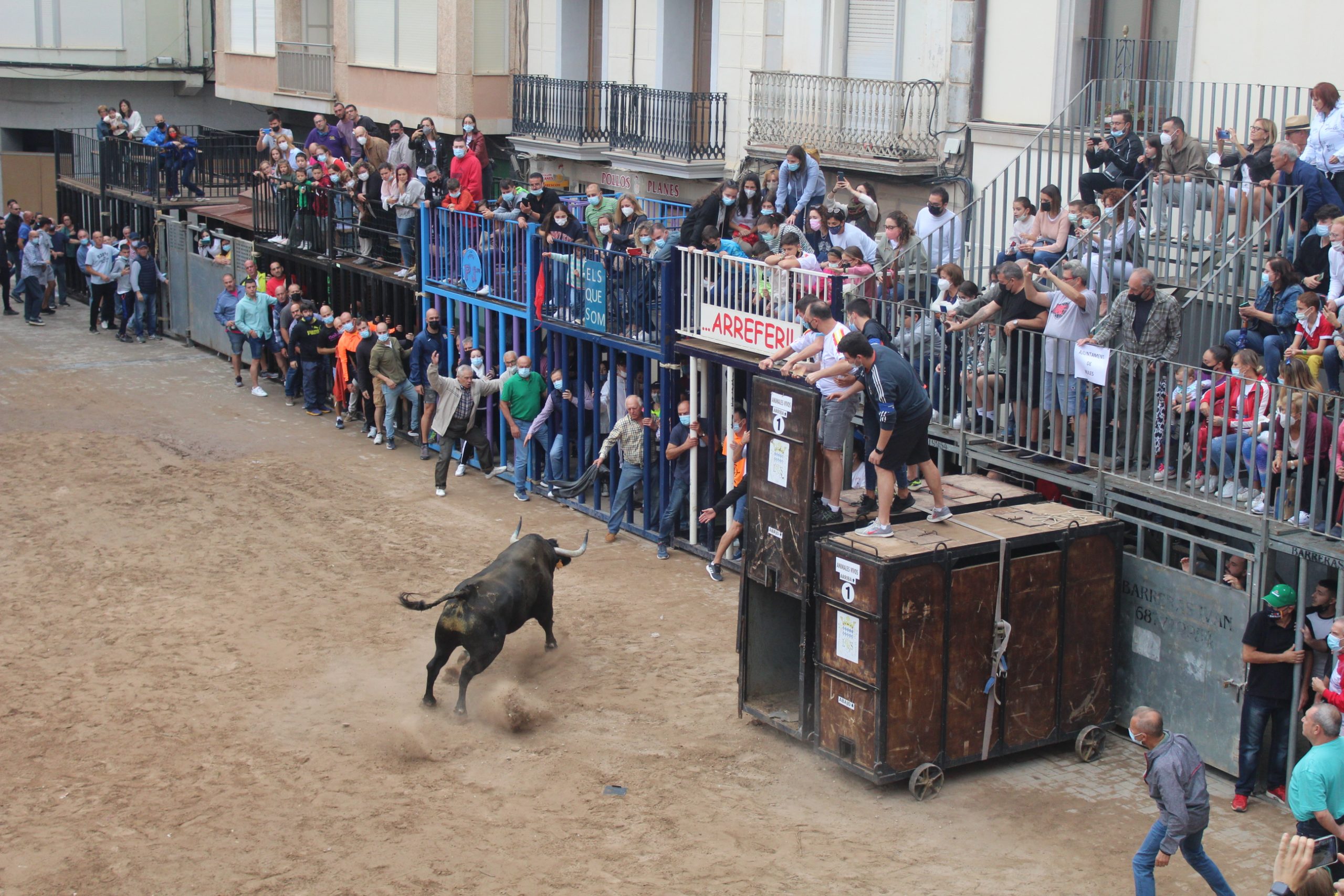 IMG_2390