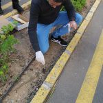 NULES RECULL 108 MOSTRES D’ADN DE MASCOTES AL LLARG DEL PASSAT ANY