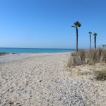 LES FOGUERES DE SANT JOAN TORNEN A LES PLATGES DE NULES