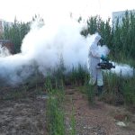 NULES REALITZA ACTUACIONS DE PREVENCIÓ DE MOSQUITS EN DIFERENTS PUNTS DEL TERME MUNICIPAL