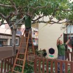 L’ALUMNAT-TREBALLADOR DEL TALLER D’OCUPACIÓ DE NULES REALITZA IMPORTANTS ACTUACIONS DE MANTENIMENT DEL MUNICIPI