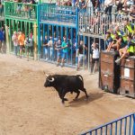 NULES ACOMIADA LES SEUES FESTES PATRONALS AMB UNA GRAN PARTICIPACIÓ EN ELS ACTES TAURINS