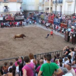 MASSIVA PARTICIPACIÓ EN LA PRIMERA JORNADA DE BOUS AL CARRER DE LES FESTES PATRONALS DE NULES