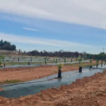 NULES MILLORA I CONDICIONA LA FINCA EXPERIMENTAL MUNICIPAL