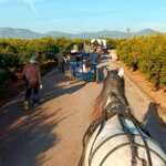 NULES CELEBRARÀ DIUMENGE LA PUJADA A PEU A LA MUNTANYETA DE SANT ANTONI DE BETXÍ