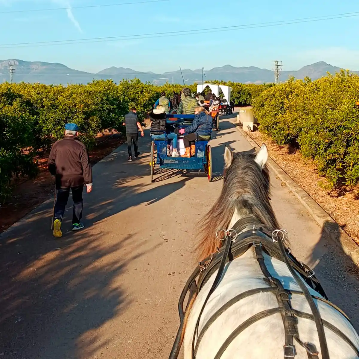 Pujada Muntanyeta Sant Antoni 2024_4