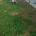 Importancia de Preparar el Terreno Antes de Plantar
