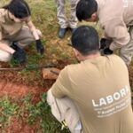 ELS ALUMNES D'AGRICULTURA ECOLÒGICA S'EXAMINEN SOBRE INSTAL·LACIONS I MÈTODES DE REG