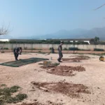 NULES MEJORA EL PARQUE CANINO DE LA SERRALETA