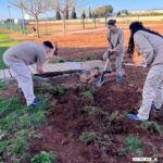 EL ALUMNADO DE AGRICULTURA ECOLÓGICA PONE EN PRÁCTICA SUS CONOCIMIENTOS EN LA PREPARACIÓN DEL TERRENO