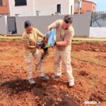 LOS ALUMNOS DE AGRICULTURA ECOLÓGICA ABONAN CON HUMUS DE LOMBIRZ EN SU PRÁCTICA DE PREPARACIÓN DEL TERRENO