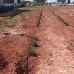 ELS ALUMNES D´AGRICULTURA ECOLÒGICA POSEN EN PRÀCTICA LA INSTAL·LACIÓ DEL REG PER DEGOTEIG