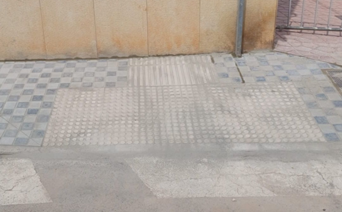 OK PASO CEBRA