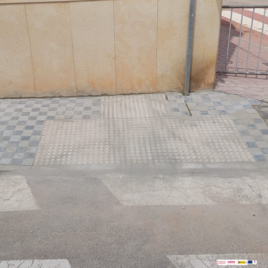 OK PASO CEBRA