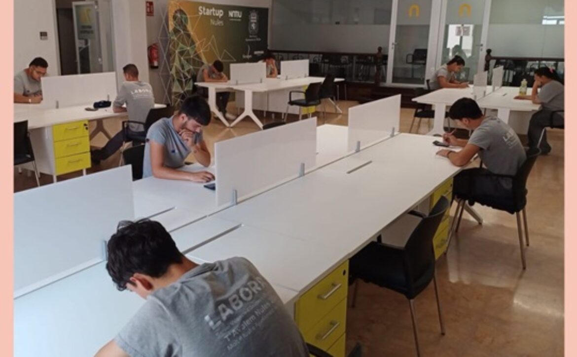 OK EXAMEN ALBAÑILERÍA
