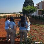 LA CAMPANYA DEL LABERINT ECOLÒGIC VINCULA EL COMERÇ AMB LA SOSTENIBILITAT I EL CONSUM RESPONSABLE