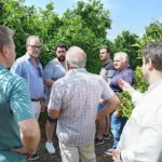 NULES I LLAURADORS TREBALLEN JUNTS EN LA VALORACIÓ DELS DANYS OCASIONATS PER LA PEDREGADA