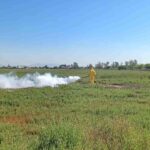 NULES INTENSIFICA LAS ACTUACIONES PARA LA PREVENCIÓN DE FOCOS DE MOSQUITOS DESPUÉS DE LOS ÚLTIMOS EPISODIOS DE LLUVIA