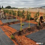 ELS ALUMNES D'AGRICULTURA COMPLETEN AMB ÈXIT LA UNITAT FORMATIVA: LABORS CULTURALS I RECOL·LECCIÓ DE CULTIUS ECOLÒGICS