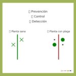 LOS ENEMIGOS NATURALES DE LAS PLANTAS: LAS PLAGAS, A EXAMEN