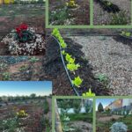 LES LABORS DE MANTENIMENT AL LABERINT VEGETAL ECOLÒGICA CONSOLIDEN EL TREBALL PRÀCTIC DEL CP D'AGRICULTURA ECOLÒGIC