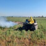 NULES VOL CONSCIENCIAR LA CIUTADANIA PER A PREVENIR FOCUS DE MOSQUITS