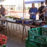 NULES VOL EVITAR ROBATORIS DE FRUITA ALS SEUS CAMPS