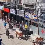 NULES CELEBRA HUI EL SOPAR DE GERMANOR AMB LA PARTICIPACIÓ D’UNES 4.500 PERSONES